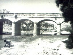 Mula Antigua serie-2